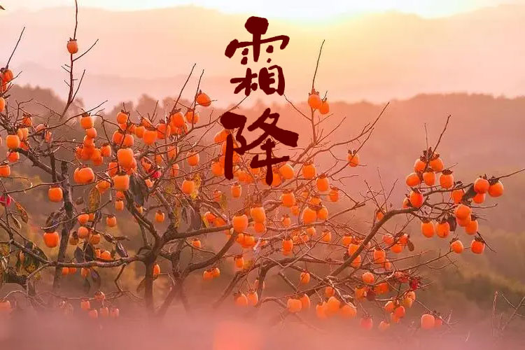 D(zhun)g˪һůƶﶬ